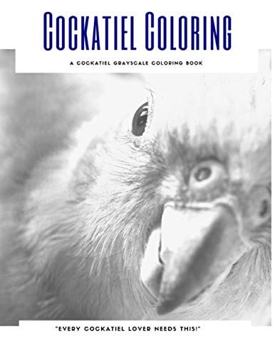 Cockatiel Coloring A Cockatiel Grayscale Coloring Book