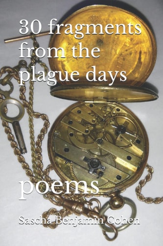 30 Fragments from the Plague Days Poems