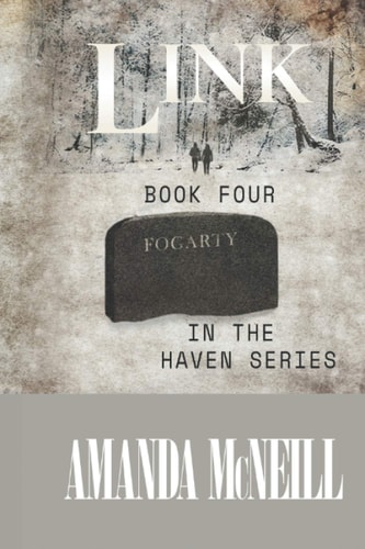 Link Book Four in the Haven Series