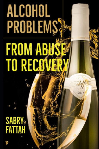Alcohol Problems From Abuse to Recovery