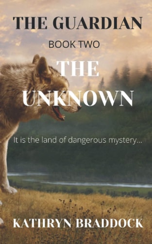 The Guardian The Unknown