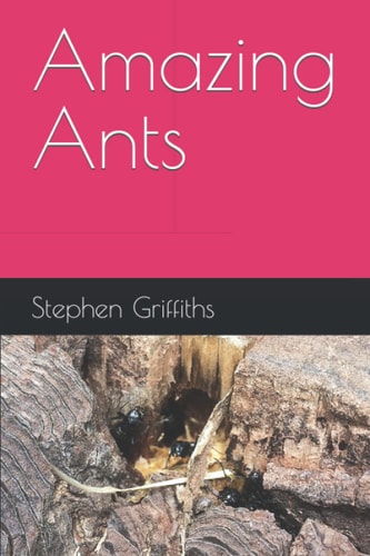 Amazing Ants