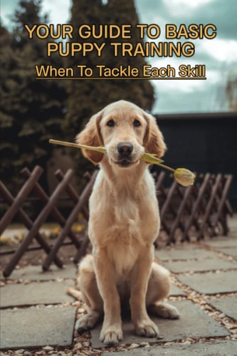 Your Guide To Basic Puppy Training When To Tackle Each Skill: Puppy Training Treats