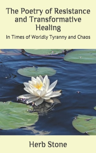 The Poetry of Resistance and Transformative Healing In Times of Worldly Tyranny and Chaos