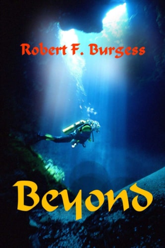 Beyond The New Enhanced Graphics Edition of Diving to Adventure