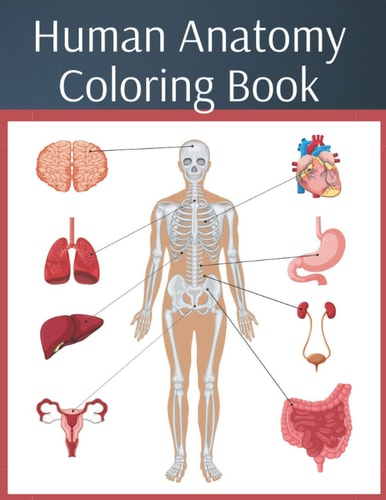 Human Anatomy Coloring Book Colouring Workbook Medical Physiology Study Guide