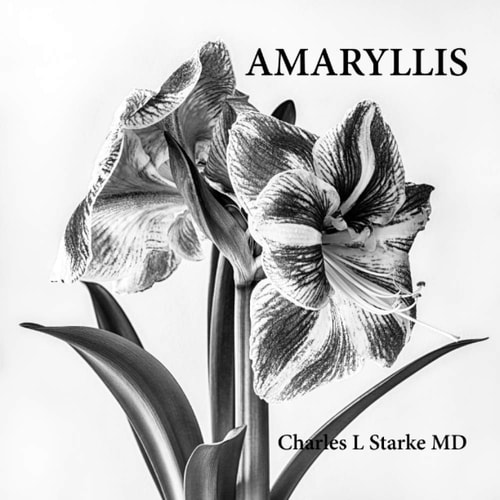 Amaryllis A Photographic Study of a Flower - A Memory of Life