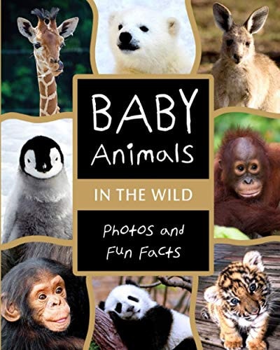 Baby Animals in the Wild Photos and Fun Facts