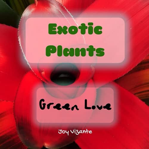 Exotic Plants Green Love