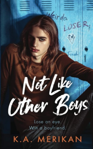 Not Like Other Boys (M/M Bully Romance)