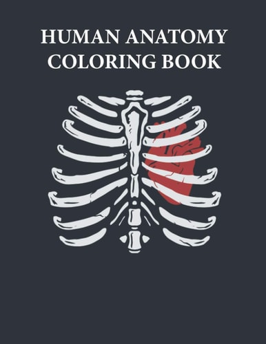 Human Anatomy Coloring Book Color Human Anatomy and Learn about This.