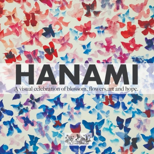 HANAMI Celebrating the Blossom of Flowers Through Art