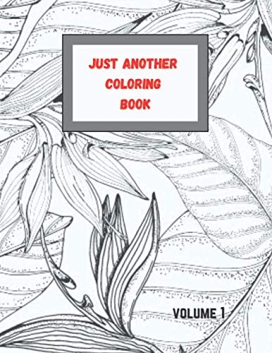 JUST ANOTHER COLORING BOOK Volume 1 50 Detailed Coloring Pages to Relax and Waste Time for Adults & Teens