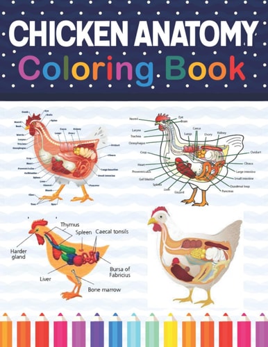 Chicken Anatomy Coloring Book Chicken Anatomy and Veterinary Physiology Coloring Book. The New Surprising Magnificent Learning Structure For Veterinary Anatomy Students. Chicken Anatomy Student's Self-Test Coloring & Activity Book.