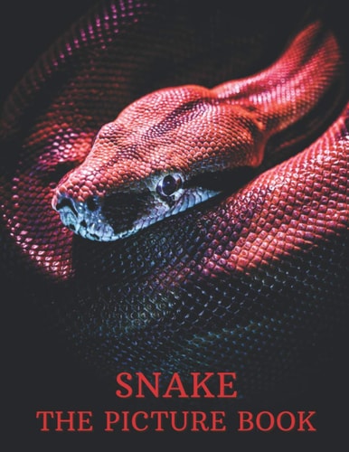 Snake The Picture Book of Amazing Snake for Snake Lovers, Seniors, Dementia, and Alzheimer's.