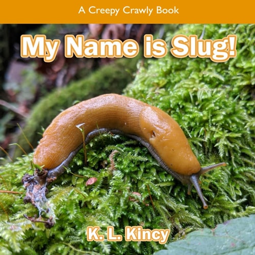 My Name is Slug! A Creepy Crawly Book