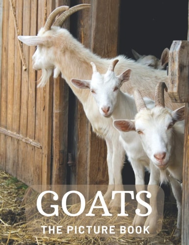 Goats The Picture Book of Beautiful Goats for Kids, Alzheimer's Seniors with Dementia.
