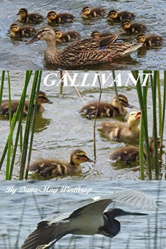 Gallivant