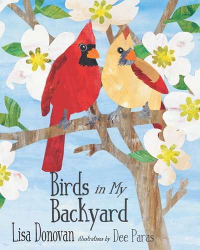 Birds in My Backyard