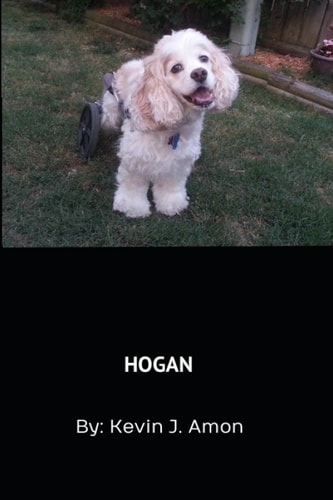 HOGAN.