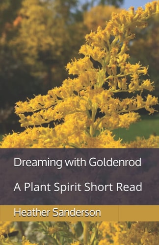 Dreaming with Goldenrod A Plant Spirit Short Read