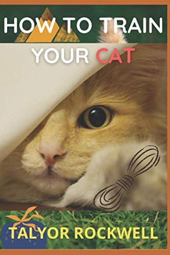 How to Train Your Cat