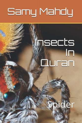 Insects In Quran Spider