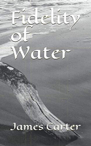 Fidelty of Water