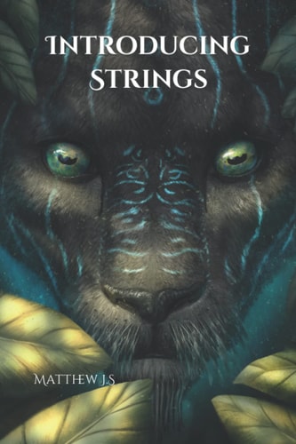 Introducing Strings
