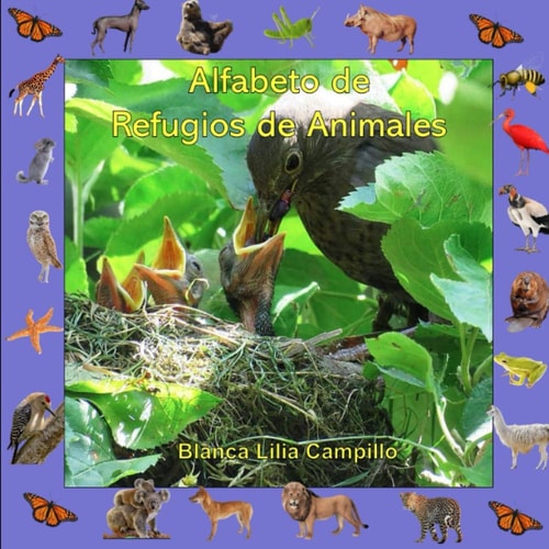 El Alfabeto de Refugios de Animales ABC Book