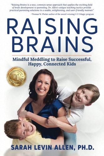 Raising Brains Mindful Meddling to Raise Successful, Happy, Connected Kids