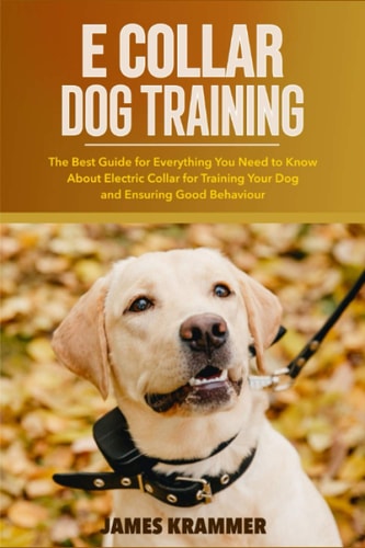 E Collar Dog Training The Best Guide for Everything You Need to Know About Electric Collar for Training Your Dog and Ensuring Good Behaviour