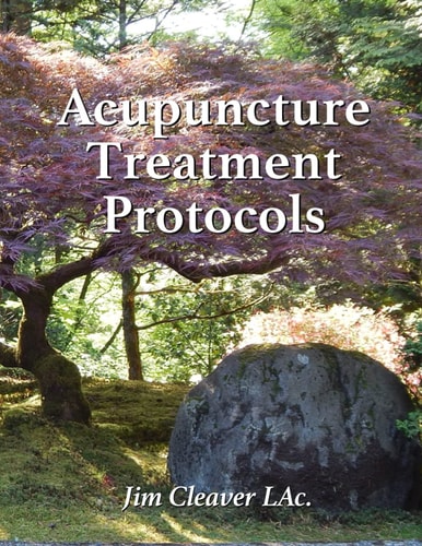 Acupuncture Treatment Protocols