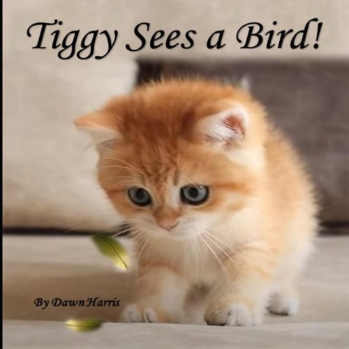 Tiggy Sees a Bird!