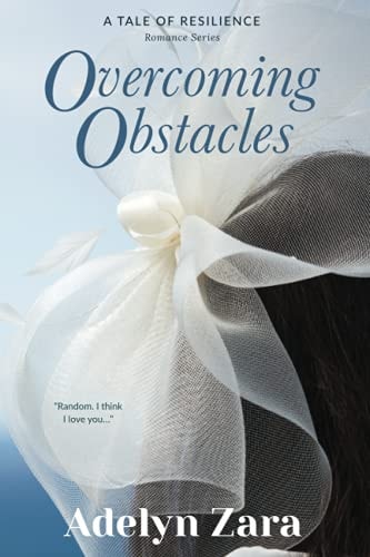 Overcoming Obstacles A Tale of Resilience