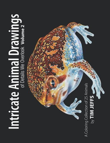Intricate Animal Drawings of Details We Overlook Volume 2