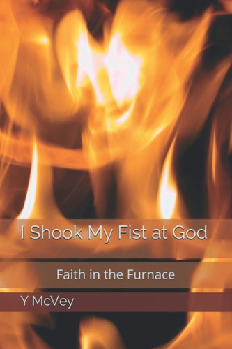 I Shook My Fist at God Faith in the Furnace
