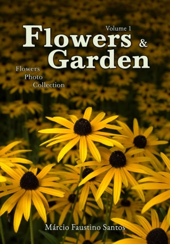 Flowers and Garden Flowers Photo Collection - Vol. 1
