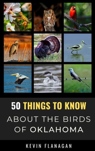 50 Things to Know About Birds in Oklahoma Birding in the Oklahoma