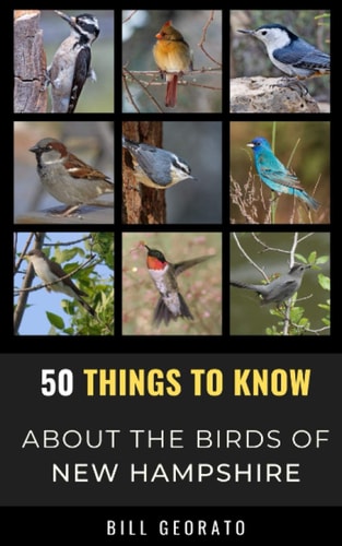 50 Things to Know About Birds In New Hampshire Birds to Watch in the Granite State