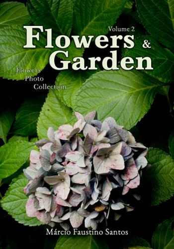 Flowers and Garden Flowers Photo Collection - Vol. 2