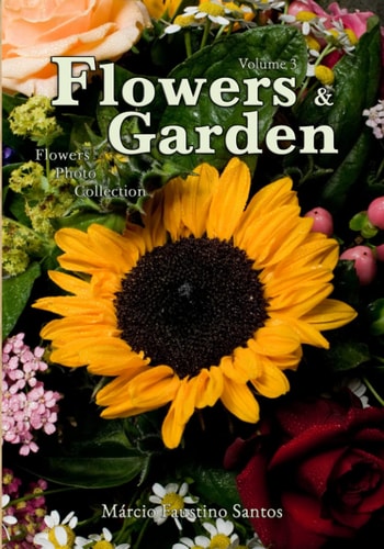 Flowers and Garden Flowers Photo Collection - Vol. 3