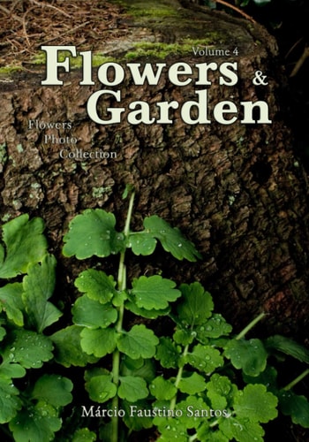 Flowers and Garden Flowers Photo Collection - Vol. 4