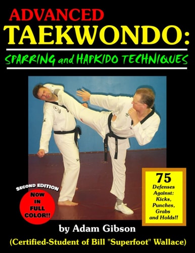 Advanced Taekwondo Sparring and Hapkido Techniques