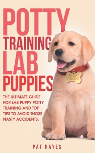 Potty Training Lab Puppies The Ultimate Guide for Lab Puppy Potty Training and Top Tips to Avoid Those Nasty Accidents