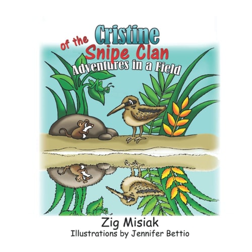 Cristine the Tiny Snipe Adventures in a Field