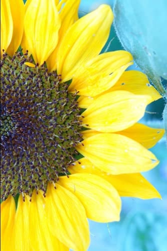 Sun, Sand and Sunflower Formosan Life