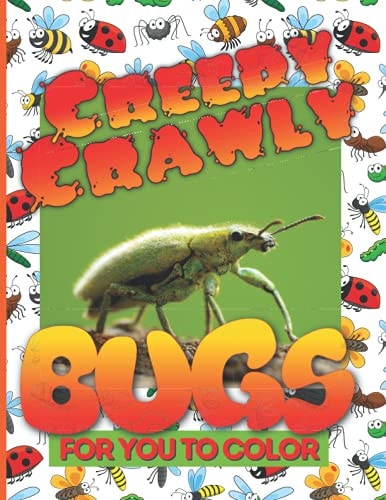 Creepy Crawly Bugs For You To Color 33 Large Size Hand Drawn Insect and Bug Illustrations for Preschool to Adult