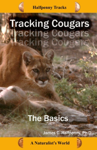 Tracking Cougars The Basics