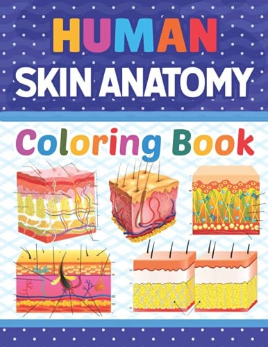 Human Skin Anatomy Coloring Book Skin Anatomy Coloring Book for Kids. Human Skin Anatomy Coloring Pages for Kids Toddlers Teens. Human Body Anatomy Coloring Book for Medical and Nursing Students. Human Skin Anatomy Coloring and Activity Book for Kids and 